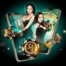 শর্তাবলী পড়ার আগে free bet নির্দেশনা